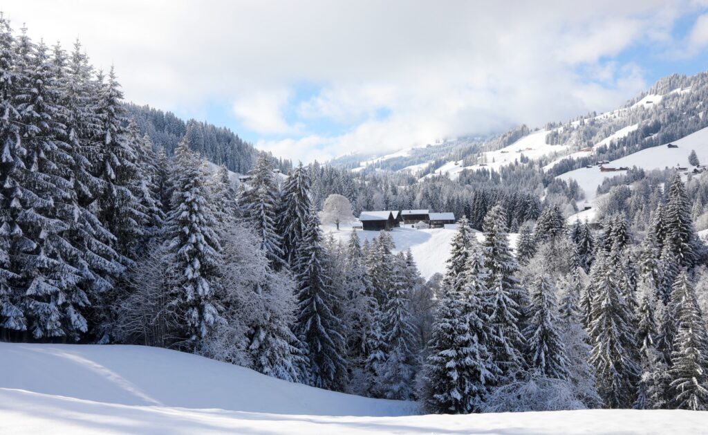 Verschneite Landschaft mit Chalets und Tannen in den Schweizer Alpen